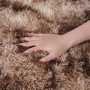 Small Rugs for Bedroom, Fluffy 2x3 Rug Throw Non Slip for Bedside Dorm Kids Room, Plush Comfy Shag Carpet for Home Decor Aesthetic, Tie-Dyed Brown