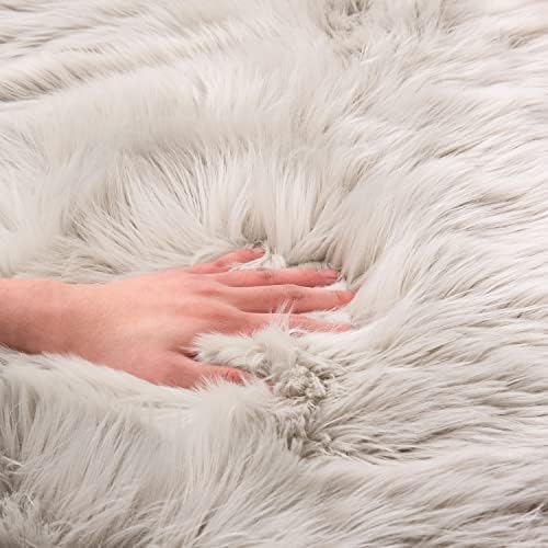 EasyJoy Ultra Soft Fluffy Shaggy Area Rug Faux Fur Rug Chair Cover Seat Pad Fuzzy Area Rug for Bedroom Floor Sofa Living Room (2 x 3 ft Sheepskin, Light Grey)