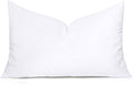 MIULEE Throw Pillow Insert Premium Pillow Stuffer Sham Rectangle for Decorative Cushion Bed Couch Sofa 14x40 Inch