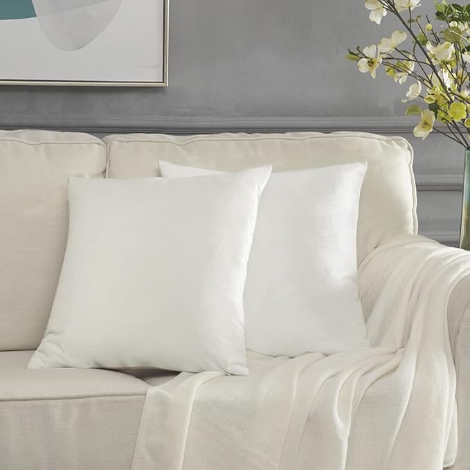 GIGIZAZA White Velvet Decorative Throw Pillow Covers for Sofa Bed 2 Pack Soft 20x20 Cushion Covers