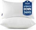 MIULEE Throw Pillows Inserts, Pack of 2 12x20 Inch 100% Virgin Fiber Filling Bed Couch Pillows
