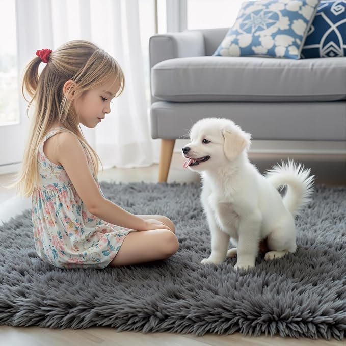 Rugs for Living Room 5x8, Alfombras para Salas Shag Large Plush Soft Area Rug, Shaggy Carpets for Bedroom, Kids Boys Girls Home Decor Aesthetic (Dark Grey, 5 x 8 Feet)
