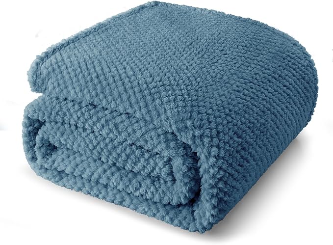Whale Flotilla Twin Size Fuzzy Fleece Blanket, Fluffy Warm Soft Jacquard Bed Blankets for All Season, Lightweight and Cozy, 60x80 Inch, Slate Blue