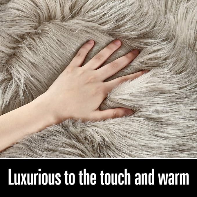 LOCHAS Soft Fluffy Faux Fur Rugs for Bedroom Bedside Rug 3x5 Feet, Washable, Furry Sheepskin Area Rug for Living Room Girls Room, Luxury Shag Carpet Home Decor, Beige