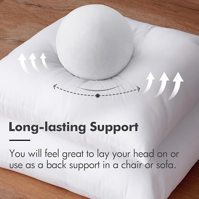 MIULEE Throw Pillow Insert Premium Pillow Stuffer Sham Rectangle for Decorative Cushion Bed Couch Sofa 12x24 Inch
