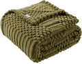 90x90 Inch Green Queen Large Blanket - Soft & Fluffy Fleece, Neutral Tan Color, Cute & Aesthetic, Perfect for Sofa, Couch, Bed, Living Room & Bedroom, All-Season Use, Plush & Cozy Decorative Blanket