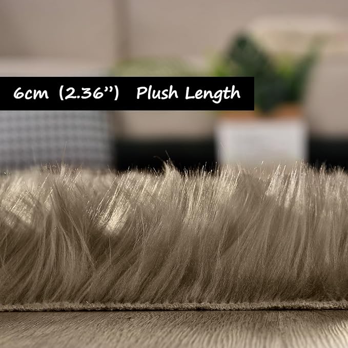Goolela Area Rug 5x7 - Light Brown Beige - Fluffy Fuzzy Furry Carpet for Bedroom Living Room Faux Sheepskin Fur Shaggy Plush Washable Rectangle