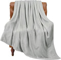 BEDELITE Fleece Blanket Light Grey Throw Blankets for Couch & Bed, Luxury Plush Cozy Fuzzy 60x80 inches, Super Soft Warm Lightweight Throw for Travel Camping