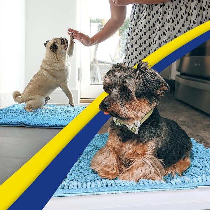 Muddy Mat® | Super Absorbent Door Mat Indoor, Microfiber Quick Dry Chenille Entryway Rug, Non-Slip Front Door Mat, Indoor Mats for Entryway, Machine Washable Pet Rug, Sky Blue 24"x60"