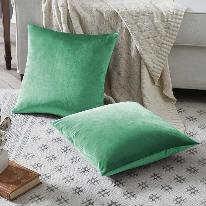 GIGIZAZA Decor Throw Couch Pillow Covers,Set of 2 Sofa Cushion Mint Turquoise Pillow Covers,Velvet Pillow Cases 24 x 24inch