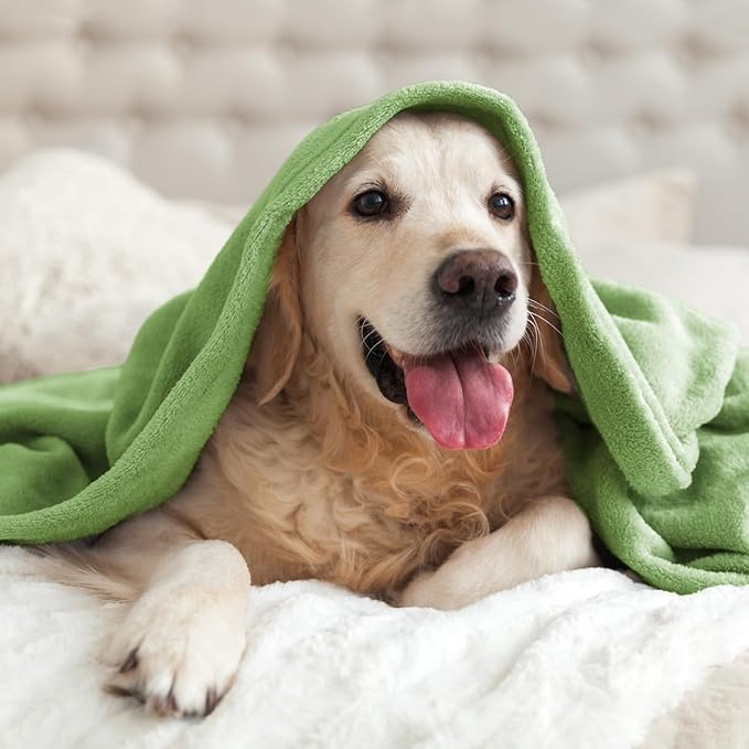 BEDELITE Fleece Blankets Queen Size Grass Green Throw Blankets for Bed, Luxury Plush Cozy Fuzzy Blanket 90x90 inches, Super Soft Warm Lightweight Throw Blanket All Seasons Suitable
