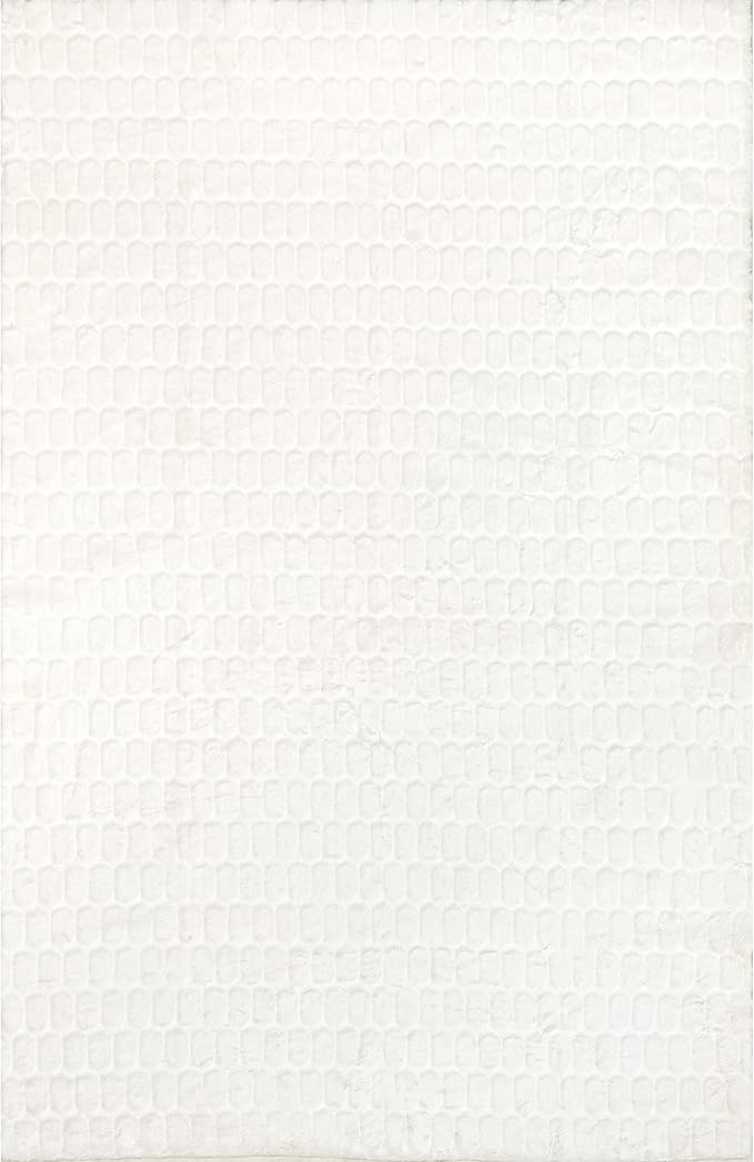 Nuloom Nia White/Ivory, 2' x 3', Cozy Shag, Fluffy and Soft, High Traffic, Stain Resistant, Easy Clean, Durable Machine Washable Area Rug for Bedroom, Living Room, Dining, Den, Foyer, Entryway
