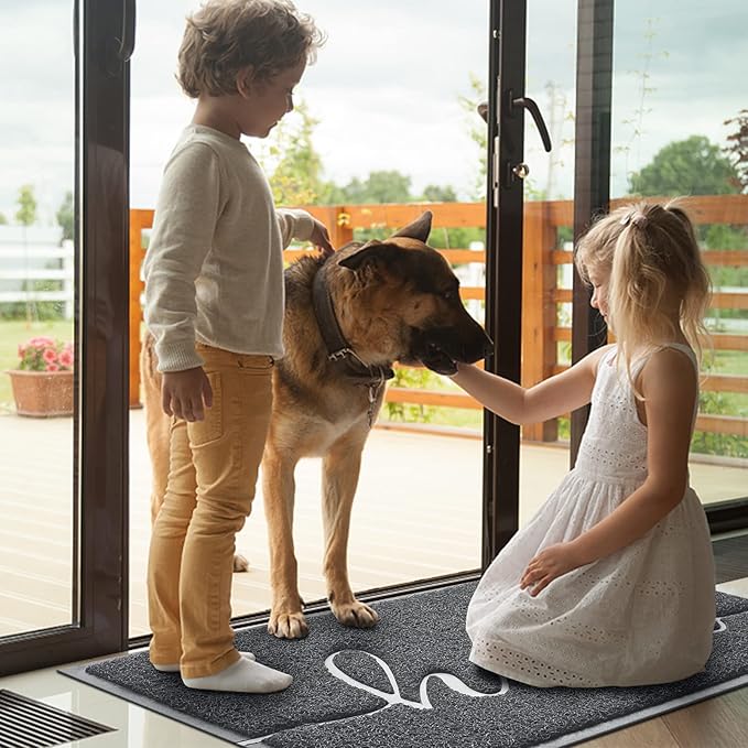 BeneathYourFeet Door Mat (36"x24",Dark Grey), Welcome Mat Low Profile Front Doormat Non Slip Mats for Entryway, Patio, High Traffic Areas