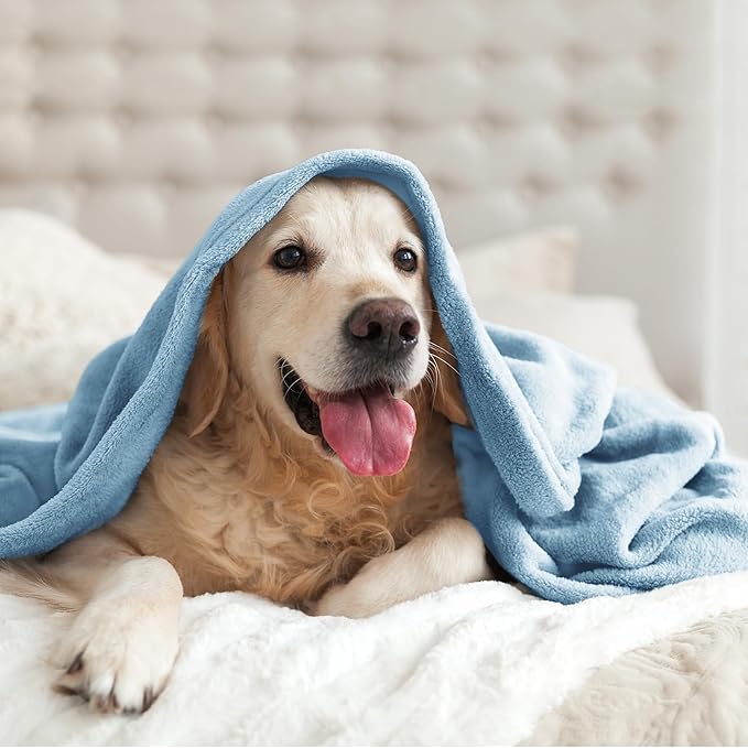 BEDELITE Fleece Blankets Queen Size Washed Blue Throw Blankets for Bed, Luxury Plush Cozy Fuzzy Blanket 90x90 inches, Super Soft Warm Lightweight Throw Blanket All Seasons Suitable