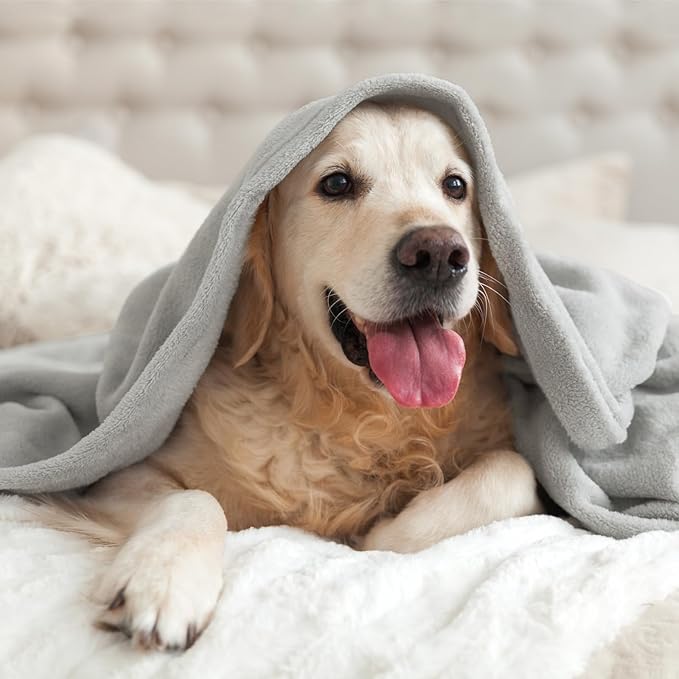 BEDELITE Fleece Blanket Light Grey Throw Blankets for Couch & Bed, Luxury Plush Cozy Fuzzy 60x80 inches, Super Soft Warm Lightweight Throw for Travel Camping