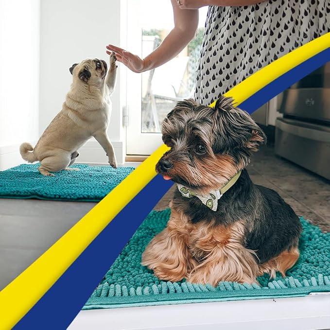 Muddy Mat® | Super Absorbent Door Mat Indoor, Microfiber Quick Dry Chenille Entryway Rug, Non-Slip Front Door Mat, Indoor Mats for Entryway, Machine Washable Pet Rug, Teal 36"x60"