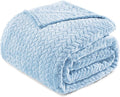Exclusivo Mezcla Fleece Queen Size Blanket for Bed, 90x90 Inches Soft Cozy Jacquard Flannel Blankets, Lightweight Fuzzy Plush Warm for Women, Light Blue