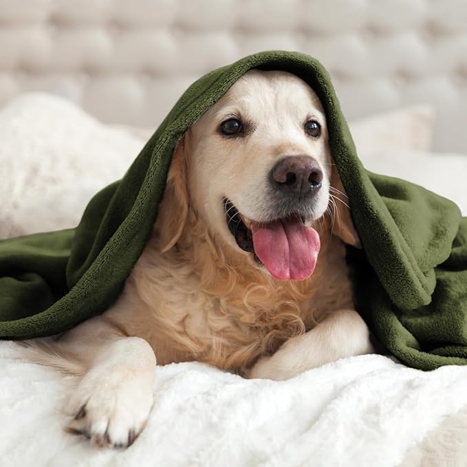 BEDELITE Fleece Blanket Olive Green Throw Blankets for Couch & Bed, Luxury Plush Cozy Fuzzy Blanket 50x60 inches, Super Soft Warm Lightweight Throw Blanket for Travel Camping