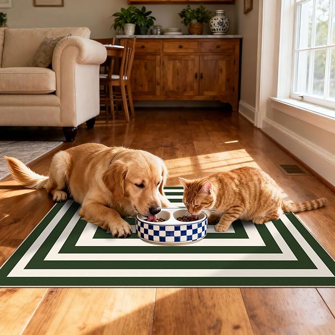 Front Door Mat Outside Entrance - 2x3 Green White Non-Slip Washable Doormat Indoor Outdoor Entrance Geometric Bordered Rug Small Throw Rugs for Entryway Bedroom Kitchen Front Porch Decor