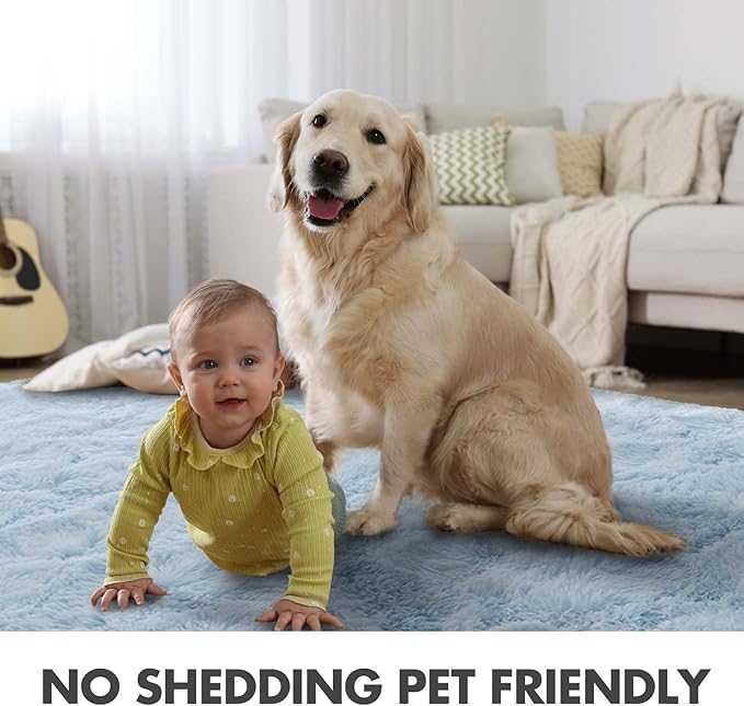 4x6 Ft Shag Rugs for Bedroom Living Room, Ultra Soft Fluffy Furry Area Rugs for Indoor Floor, Aesthetic Carpet for Kids Home Decor (Light Blue)