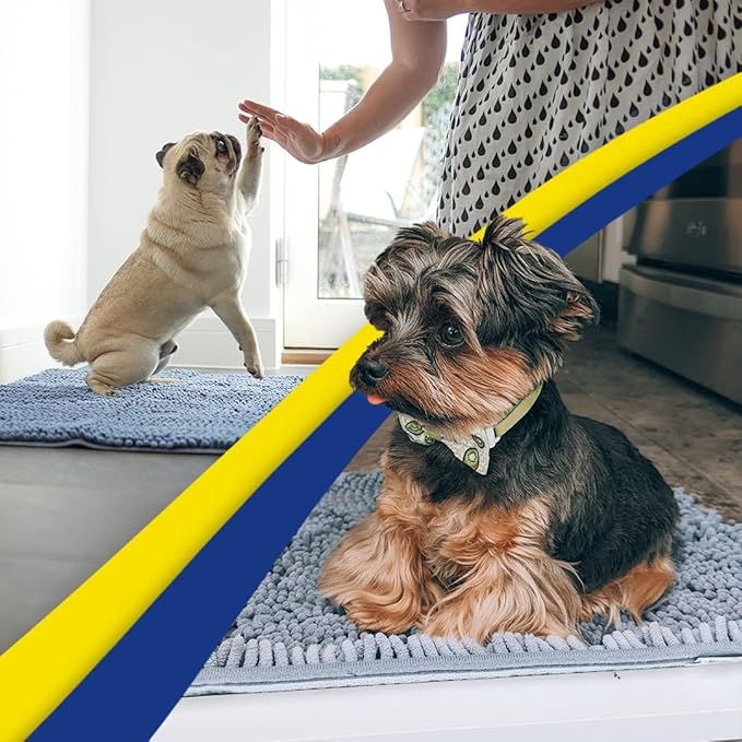 Muddy Mat® | Super Absorbent Door Mat Indoor, Microfiber Quick Dry Chenille Entryway Rug, Non-Slip Front Door Mat, Indoor Mats for Entryway, Machine Washable Pet Rug, Baby Blue 19"X30"