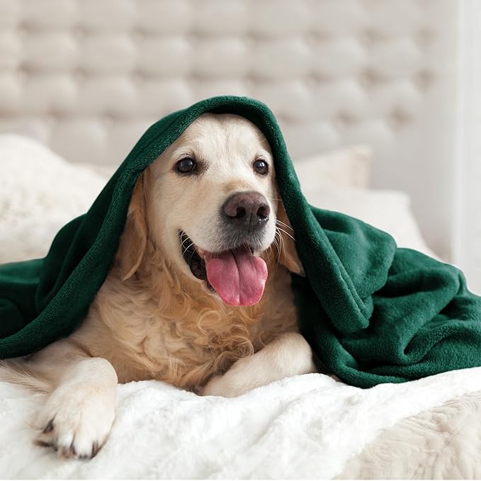BEDELITE Fleece Blanket Twin Size Forest Green Throw Blankets for Couch & Bed, 300GSM Luxury Plush Cozy Fuzzy Blanket 60x80 inches, Super Soft Warm Lightweight Throw Blanket for Travel Camping