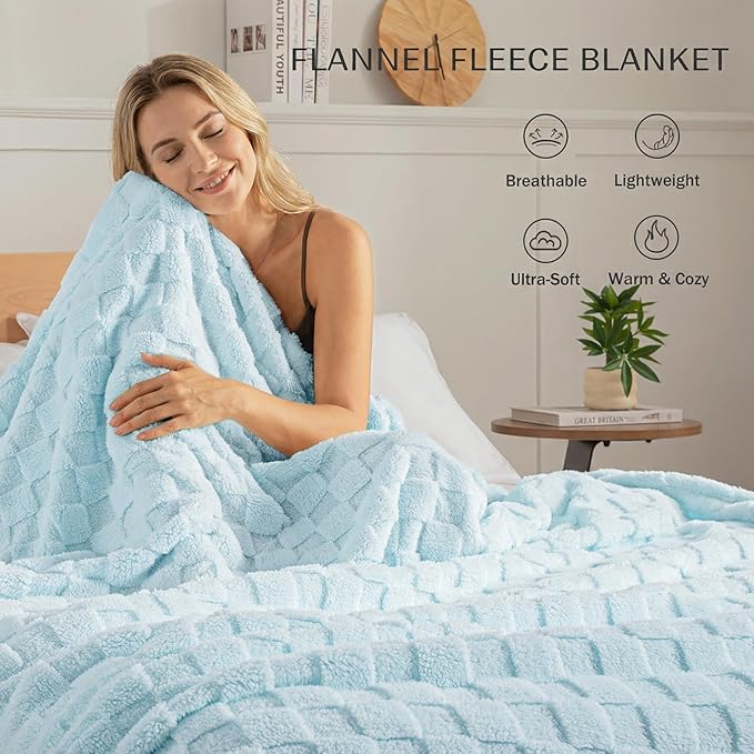 Exclusivo Mezcla Queen Size Flannel Fleece Blanket, Super Soft and Warm Lightweight Checkered Pattern Blankets for All Seasons, 90x90 Inches, Light Blue