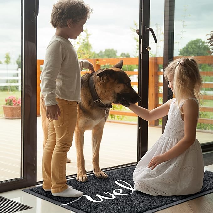 BeneathYourFeet Door Mat, Welcome Mat Low Profile Floor Mat Front Doormat Indoor and Outdoor Doormat Non Slip Rugs for Entryway, Patio, High Traffic Areas (30"x17.5", Black-Welcome)