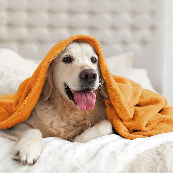BEDELITE Fleece Blanket King Size Blankets for Bed, Luxury Plush Cozy Fuzzy Blanket 108x90 inches, Super Soft Warm Lightweight Throw Blanket All Seasons Suitable, Burnt Orange