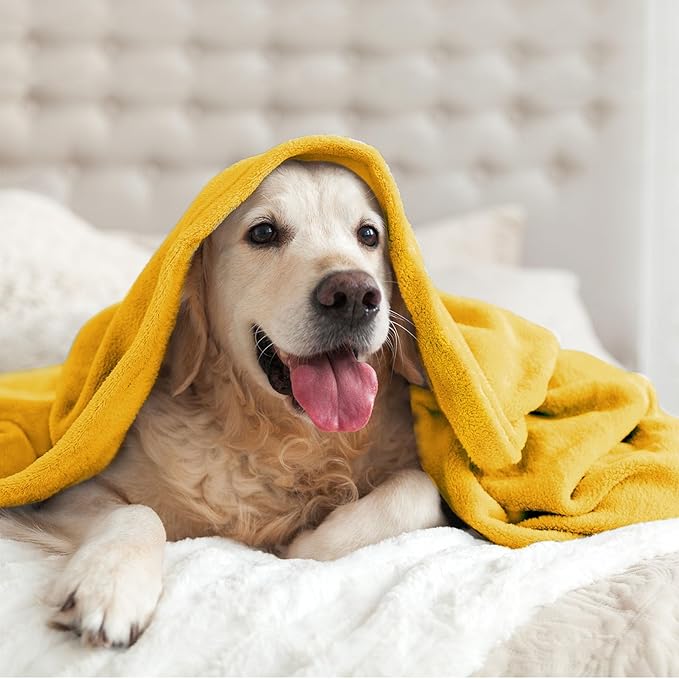 BEDELITE Fleece Blanket Twin Size Yellow Throw Blanket for Couch & Bed, Luxury Plush Cozy Fuzzy Blanket 60x80 inches, Super Soft Warm Lightweight Throw Blanket for Travel Camping