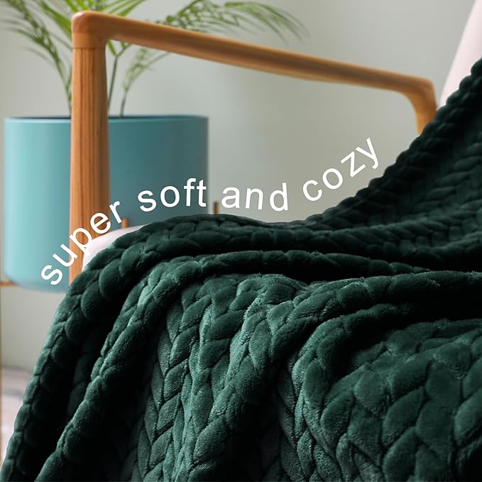 Exclusivo Mezcla Fleece Queen Size Blanket for Bed, 90x90 Inches Soft Cozy Jacquard Flannel Blankets, Lightweight Fuzzy Plush Warm for Women, Forest Green
