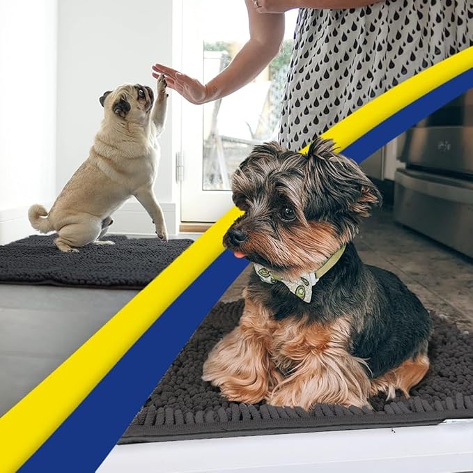 Muddy Mat® | Super Absorbent Door Mat Indoor, Microfiber Quick Dry Chenille Entryway Rug, Non-Slip Front Door Mat, Indoor Mats for Entryway, Machine Washable Pet Rug, Charcoal 16"x24"