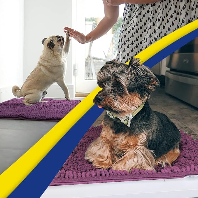 Muddy Mat® | Super Absorbent Door Mat Indoor, Microfiber Quick Dry Chenille Entryway Rug, Non-Slip Front Door Mat, Indoor Mats for Entryway, Machine Washable Pet Rug, Dark Purple 16"x24"
