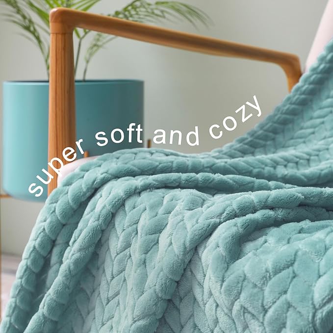Exclusivo Mezcla Fleece Twin Size Blanket for Bed, 60x80 Inches Soft Cozy Jacquard Flannel Blankets, Lightweight Fuzzy Plush Warm for Women, Celadon