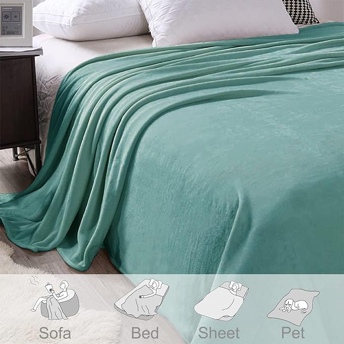 Exclusivo Mezcla Fleece Blanket Twin Size for Bed, Super Soft and Warm, All Season, Cozy, Plush, Lightweight, 60x80 Inches Celadon