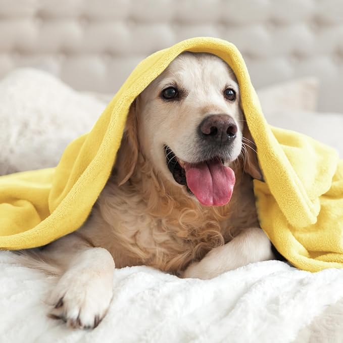 BEDELITE Fleece Blanket Twin Size Light Yellow Throw Blankets for Couch & Bed, Luxury Plush Cozy Fuzzy Blanket 60x80 inches, Super Soft Warm Lightweight Throw Blanket for Travel Camping