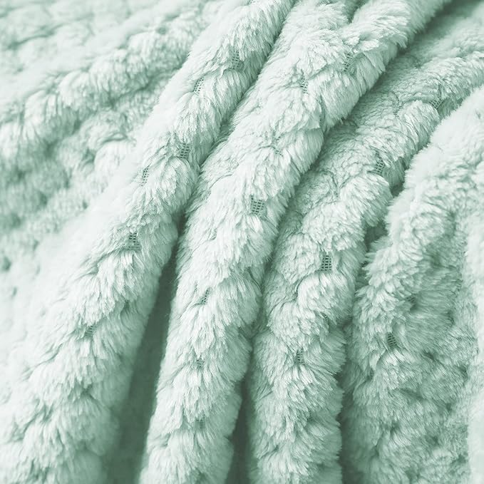 Exclusivo Mezcla Fleece Throw Blanket, Super Soft and Warm Blankets for Couch, Sofa and Bed Waffle Textured, Cozy, Fuzzy and Lightweight (Mint Green, 40x50 Inches)