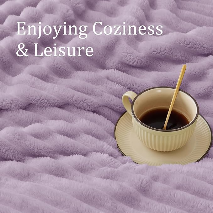 BEDELITE Twin Blanket for Couch & Bed, 300GSM Soft & Warm Fleece Blanket, Decorative and Giftable Striped Lilac Blankets for Women, Men, 60"x80"