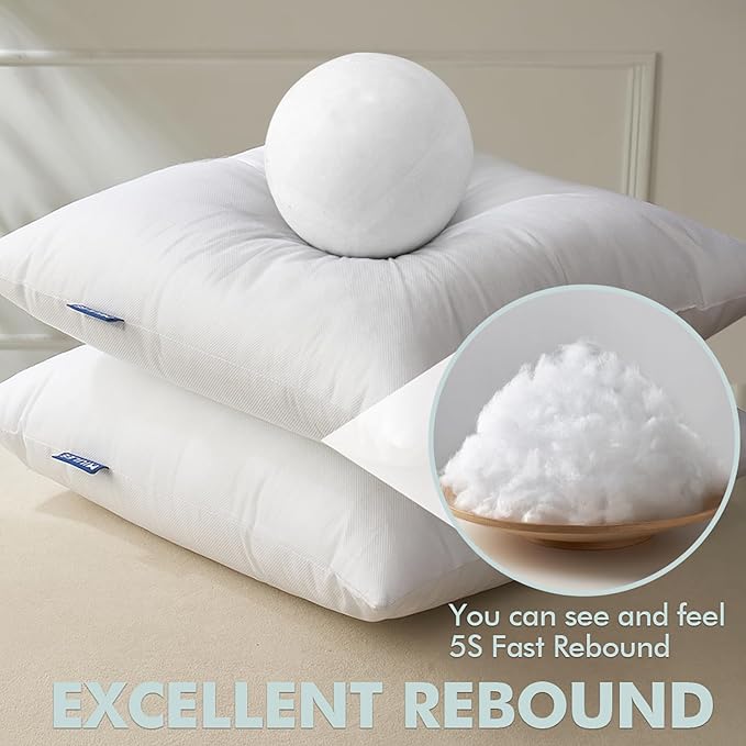 MIULEE Set of 2 Throw Pillow Inserts 18x18 Inches, Non-Woven Decorative Pillow Inserts for Living Room (Pack of 2)