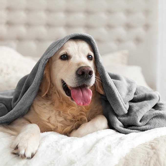 BEDELITE Fleece Blanket Grey Throw Blanket for Couch & Bed, Luxury Plush Cozy Fuzzy Blanket 50" x 60", Super Soft Warm Lightweight Throw Blanket for Travel Camping