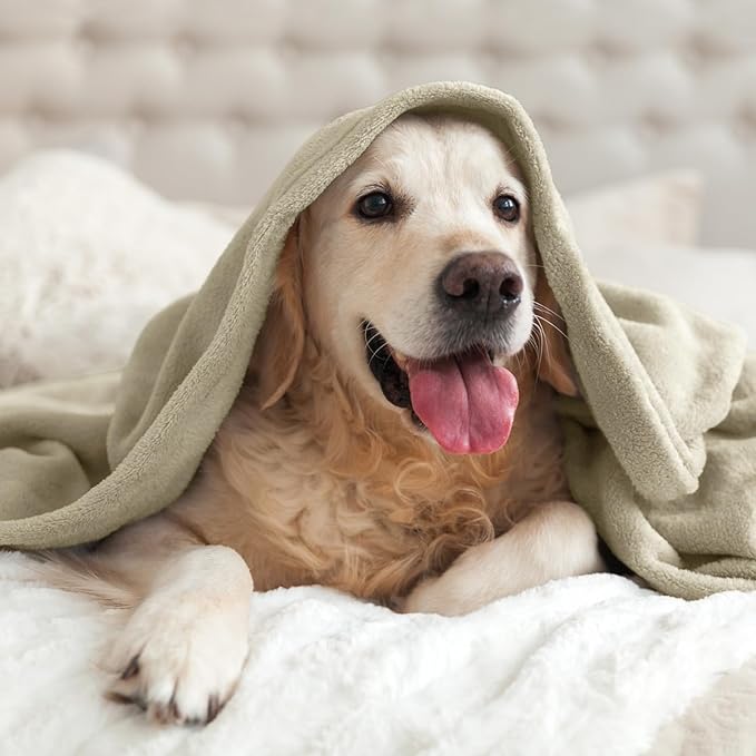 BEDELITE Fleece Blanket Twin Size Oat Linen Throw Blankets for Couch & Bed, Luxury Plush Cozy Fuzzy Blanket 60x80 inches, Super Soft Warm Lightweight Throw Blanket for Travel Camping