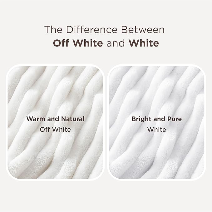 Bedsure GentleSoft Blankets Queen Size for Bed - Cozy Soft Sofa Couch Cover Blankets for Women, Cute Large Bedding Fleece Throws for Girls, Off White, 90x90 Inches
