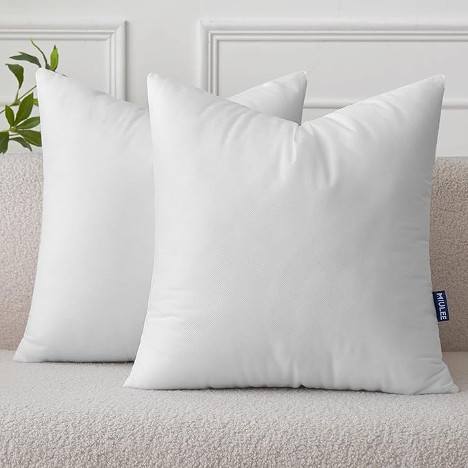MIULEE Set of 2 Throw Pillow Inserts 24x24 Inches, Non-Woven Decorative Pillow Inserts for Living Room