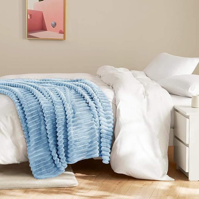 HIMEET Light Blue Ribbed Throw Blanket for Couch - 300GSM Lightweight Soft Fleece Blanket for Women Men, Cozy Blankets for Mothers Gifts, Striped Spring Home Room Decor, Light Blue, 50x60 Inches
