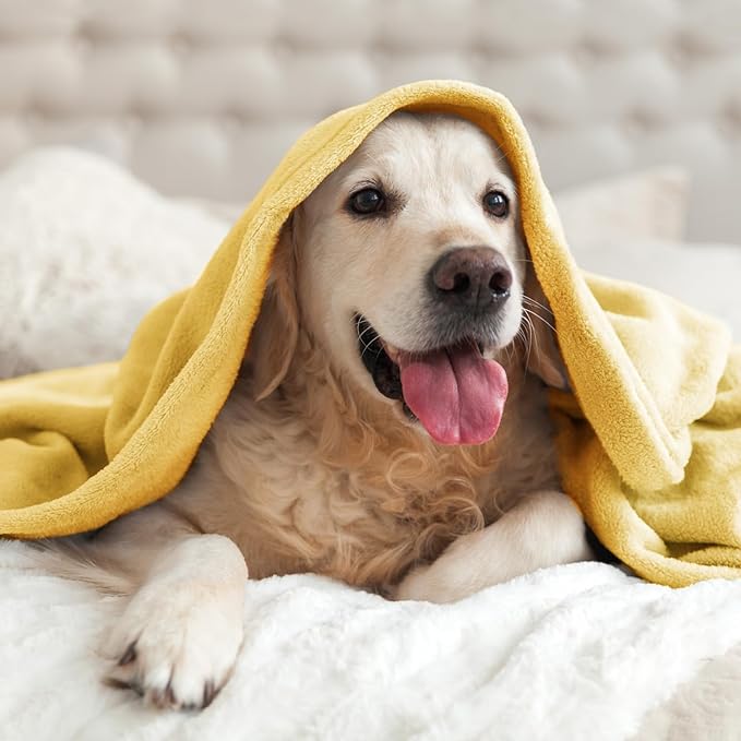 BEDELITE Fleece Blanket Cream Yellow Throw Blankets for Couch & Bed, Luxury Plush Cozy Fuzzy Blanket 50" x 60", Super Soft Warm Lightweight Throw Blanket for Travel Camping