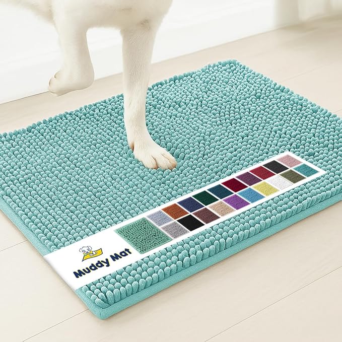 Muddy Mat® | Super Absorbent Door Mat Indoor, Microfiber Quick Dry Chenille Entryway Rug, Non-Slip Front Door Mat, Indoor Mats for Entryway, Machine Washable Pet Rug, Seafoam Green 16"x24"