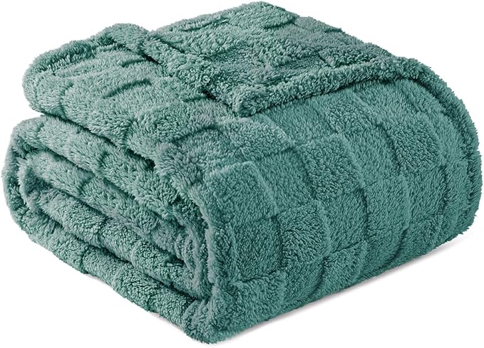 Exclusivo Mezcla Fleece Throw Blanket for Couch,Super Soft and Warm Lightweight Checkered Pattern Blankets for All Seasons,50x60 Inches, Celadon
