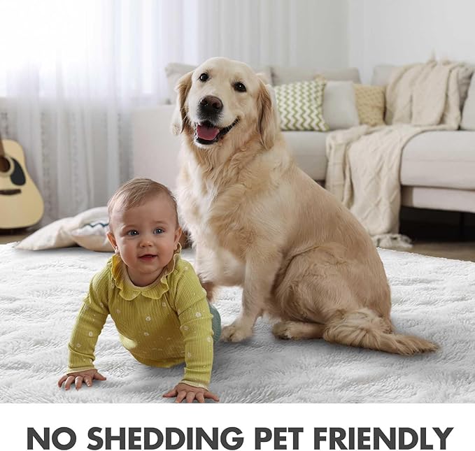 Area Rugs for Living Room, 5x7 Feet Soft Fluffy Shagg Plush Rug High Pile Large Indoor Modern Non-Slip Floor Carpet for Bedroom Nursery Kids Home Room Dorm Decor Aesthetic White