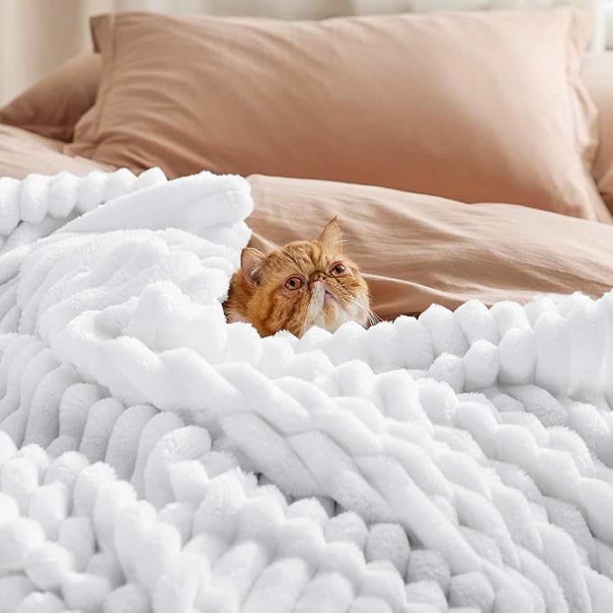Bedsure GentleSoft Queen Blanket for Couch - Cozy Soft Blankets for Women, Cute Small Fleece Throws for Girls, Bright White, 90x90 Inches