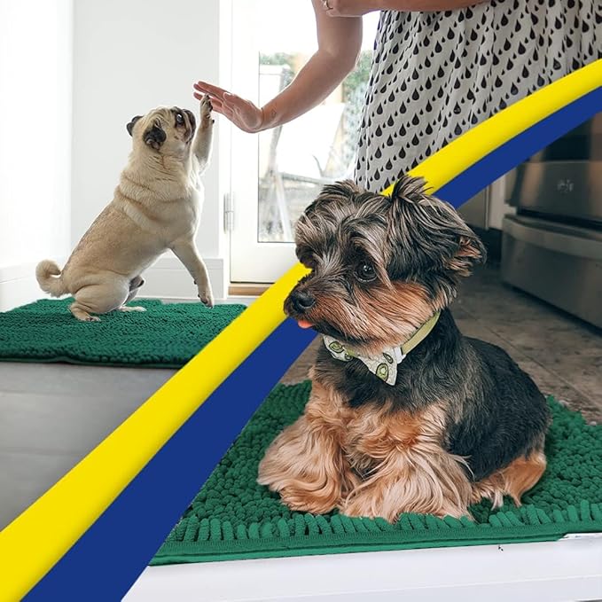 Muddy Mat® | Super Absorbent Door Mat Indoor, Microfiber Quick Dry Chenille Entryway Rug, Non-Slip Front Door Mat, Indoor Mats for Entryway, Machine Washable Pet Rug, Dark Green 16"x24"
